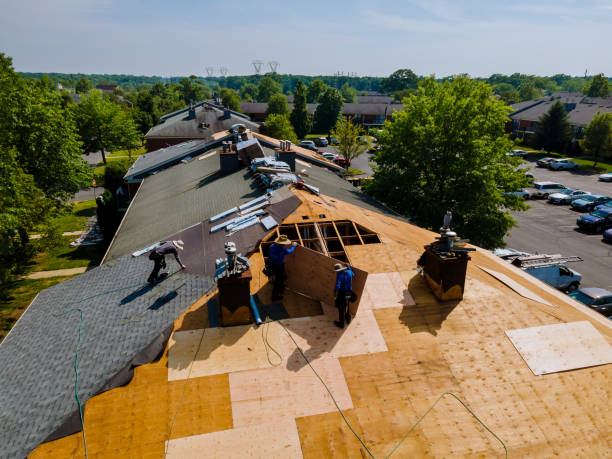 Best Storm Damage Roof Repair  in Glenarden, MD