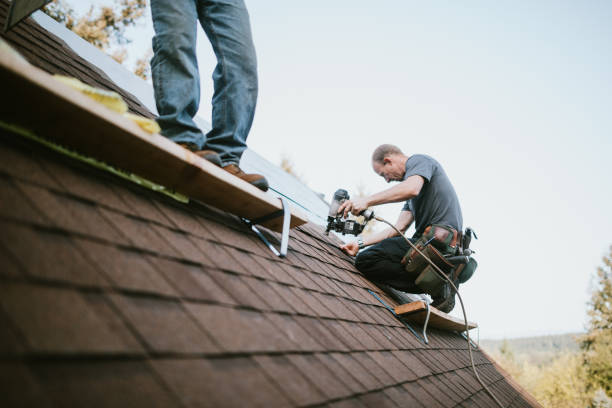 Best Roof Gutter Cleaning  in Glenarden, MD